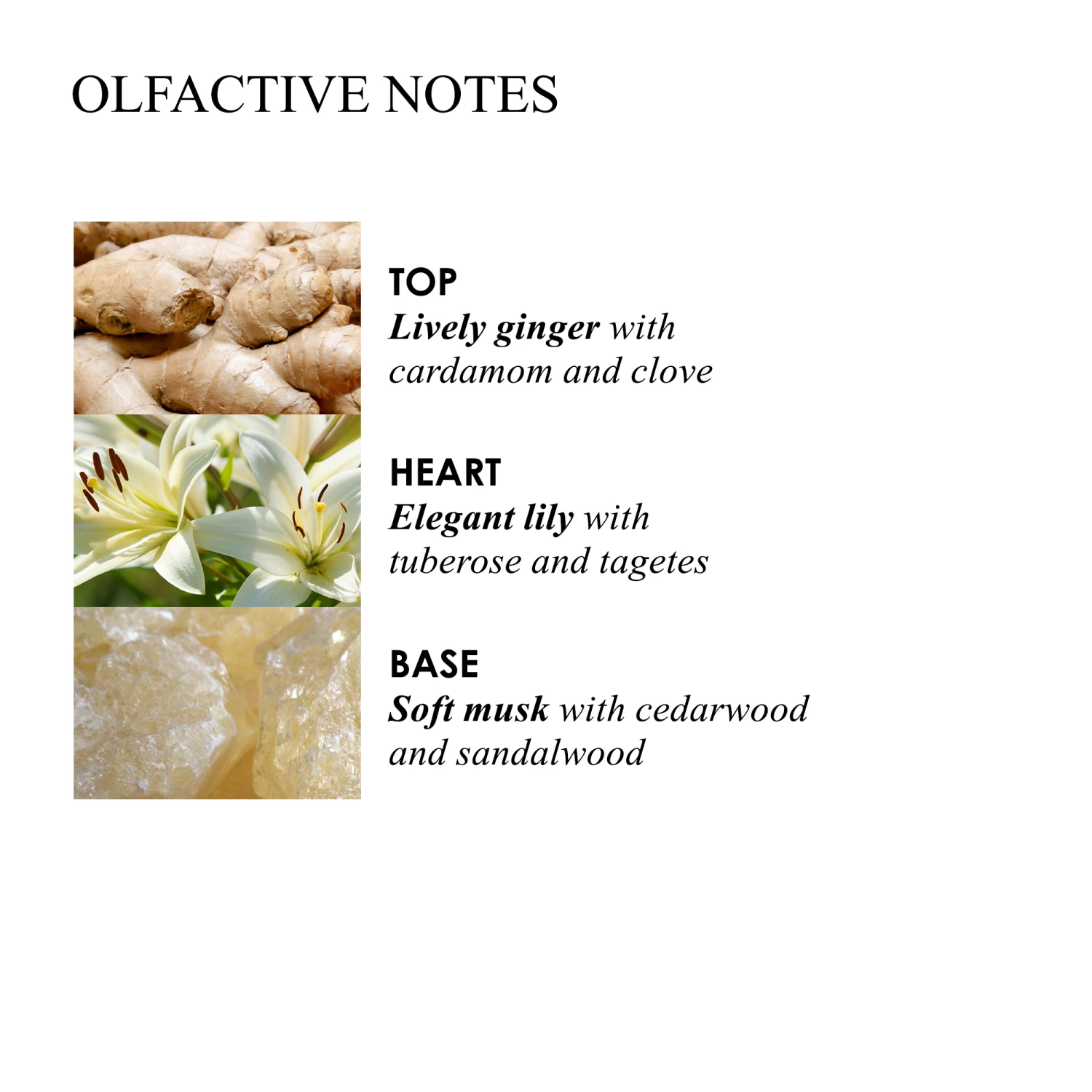 Molton Brown HEAVENLY GINGERLILY HAND CREAM 10688197 – Bild 4