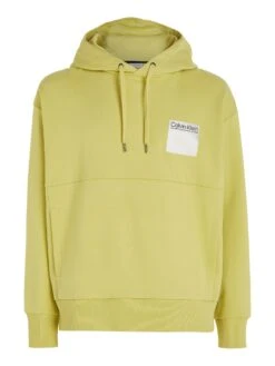 Calvin Klein Kapuzensweatshirt 10684653