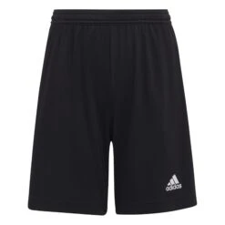 Adidas Entrada 22 Shorts 10691788