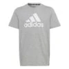 Adidas Essentials Big Logo T-Shirt 10704720