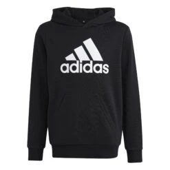 Adidas Essentials Big Logo Hoodie 10704752