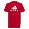 Adidas Essentials Big Logo T-Shirt 10704751