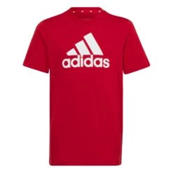 Adidas Essentials Big Logo T-Shirt 10704751