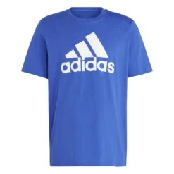 Adidas Essentials Single Jersey Big Logo T-Shirt 10680827
