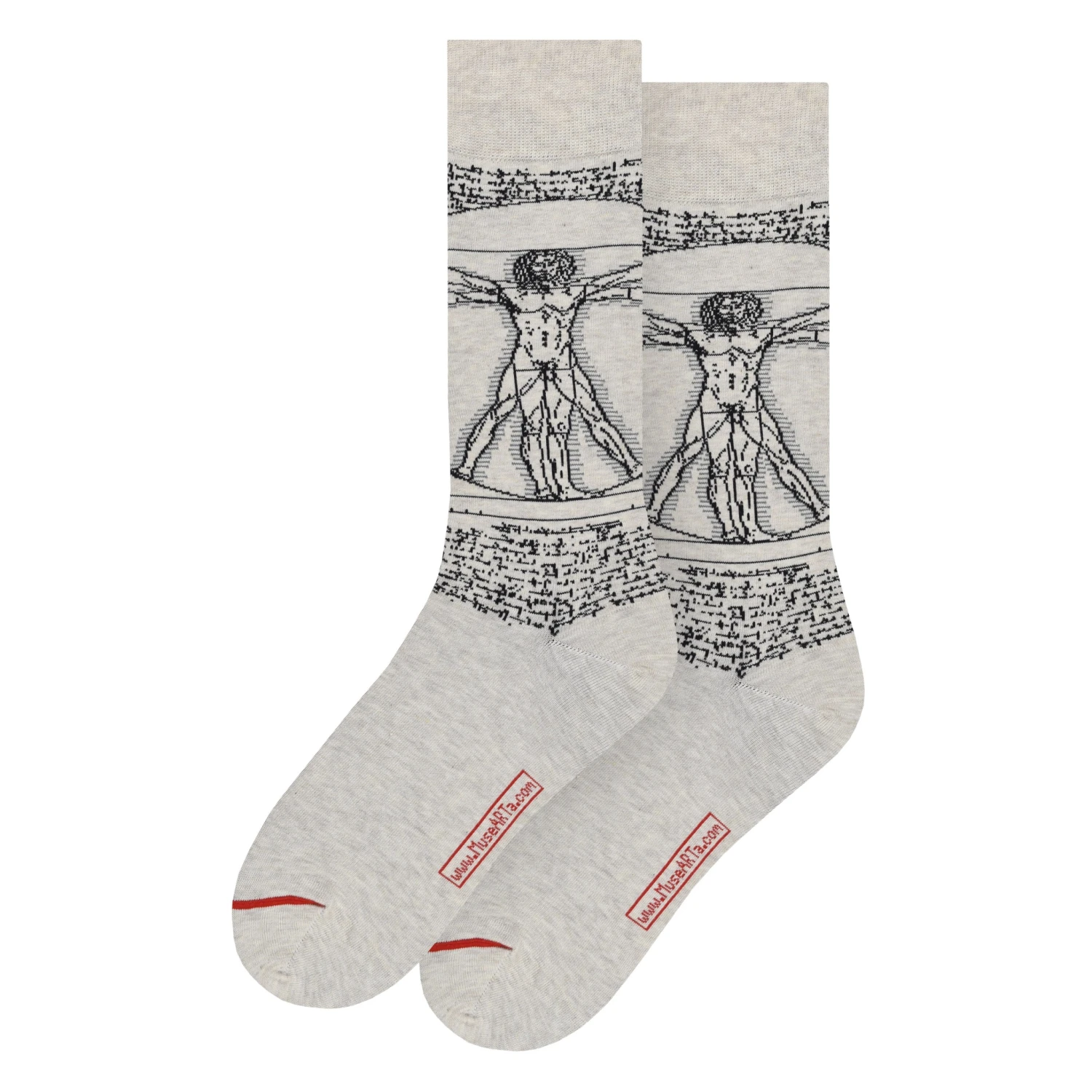 MuseArta Leonardo Da Vinci - The Vitruvian Man 10672464