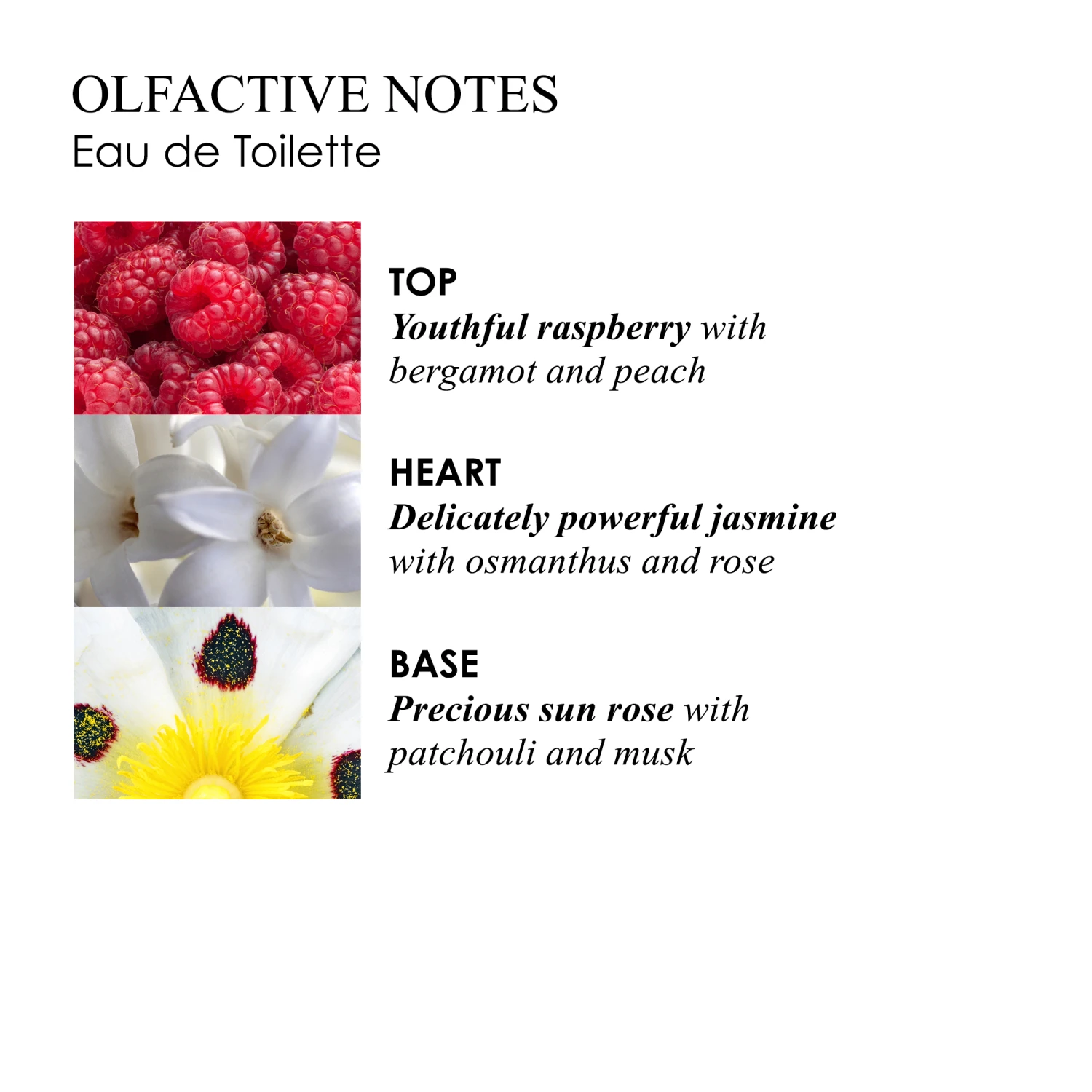 Molton Brown JASMINE & SUN ROSE EAU DE TOILETTE 100ML 10688175 – Bild 5